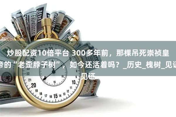 炒股配资10倍平台 300多年前，那棵吊死崇祯皇帝的“老歪脖子树”，如今还活着吗？_历史_槐树_见证